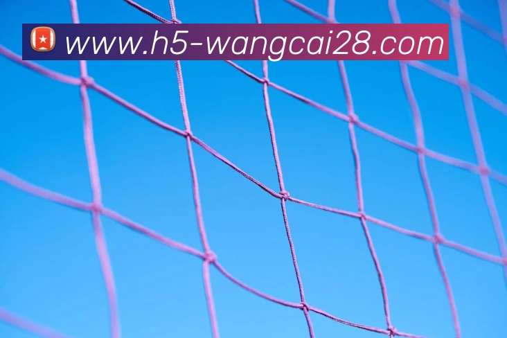 旺财28品牌故事