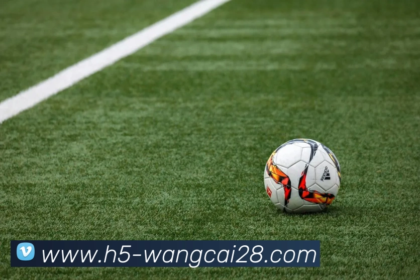 旺财28服务体系