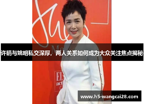 许晴与姚明私交深厚，两人关系如何成为大众关注焦点揭秘