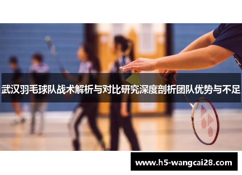 武汉羽毛球队战术解析与对比研究深度剖析团队优势与不足
