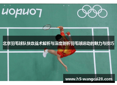 北京羽毛球队快攻战术解析与深度剖析羽毛球运动的魅力与技巧
