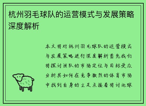 杭州羽毛球队的运营模式与发展策略深度解析