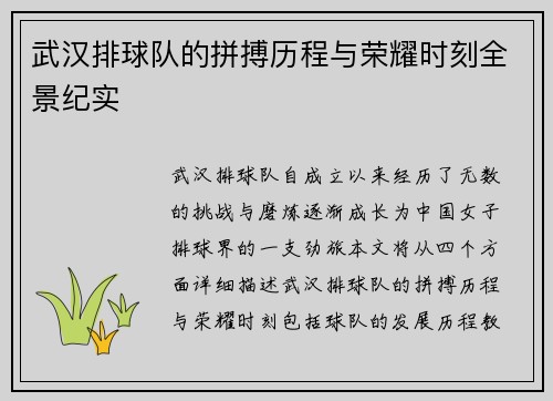 武汉排球队的拼搏历程与荣耀时刻全景纪实