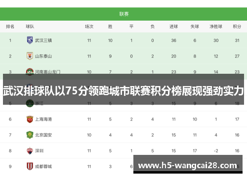 武汉排球队以75分领跑城市联赛积分榜展现强劲实力